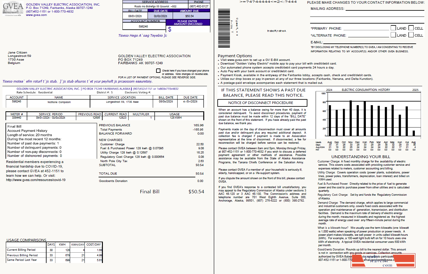 Belgium Golden Valley Electric Association utility bill template in Word and PDF formats, 2 pages